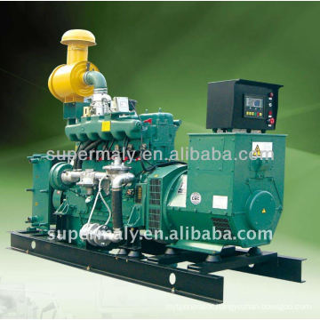 CE approved best quality green power 100kva biogas generator